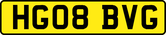 HG08BVG