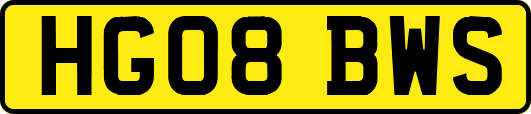 HG08BWS