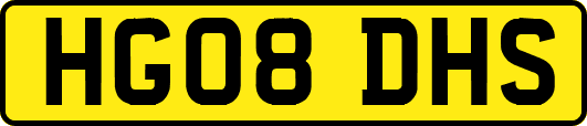 HG08DHS