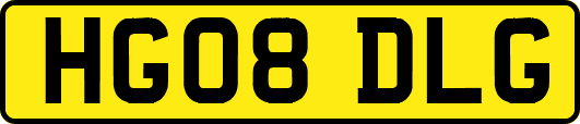 HG08DLG