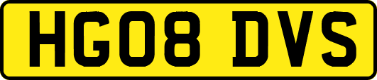 HG08DVS