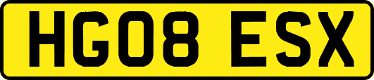 HG08ESX