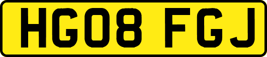 HG08FGJ