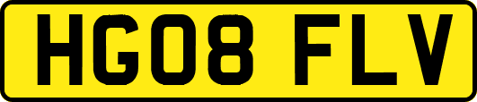 HG08FLV