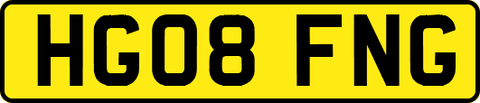 HG08FNG