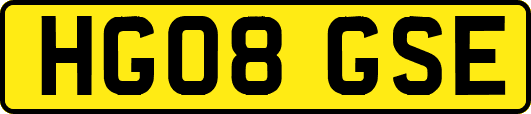 HG08GSE