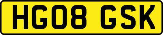HG08GSK