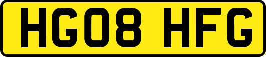 HG08HFG
