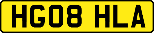 HG08HLA