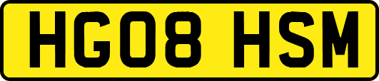 HG08HSM