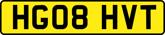 HG08HVT