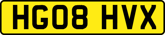 HG08HVX
