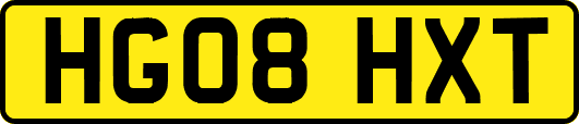 HG08HXT