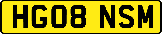 HG08NSM