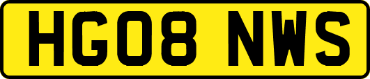 HG08NWS
