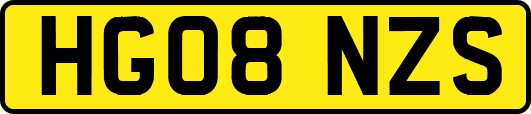 HG08NZS