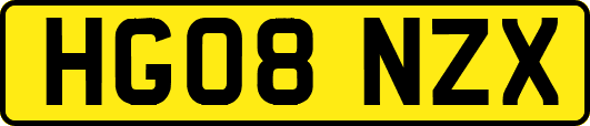 HG08NZX