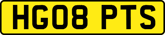 HG08PTS