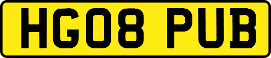 HG08PUB