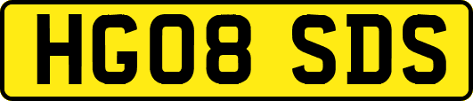 HG08SDS