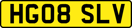 HG08SLV