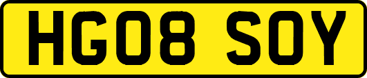 HG08SOY