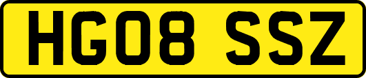HG08SSZ
