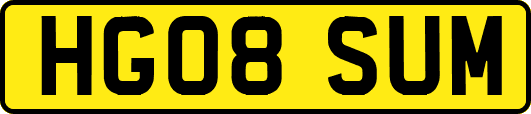 HG08SUM