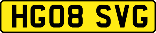HG08SVG
