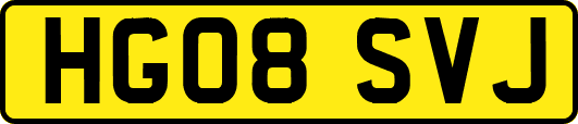 HG08SVJ