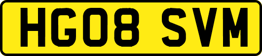 HG08SVM