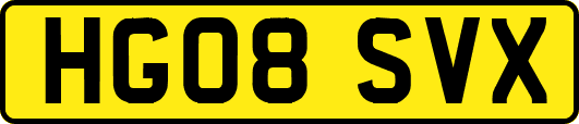 HG08SVX