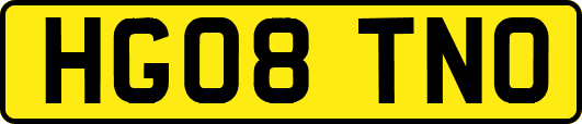 HG08TNO