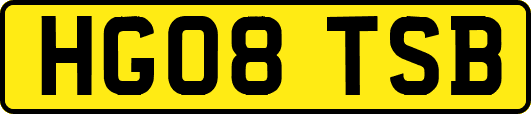 HG08TSB