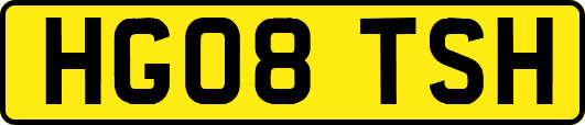 HG08TSH