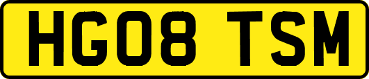 HG08TSM