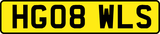 HG08WLS