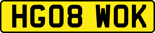 HG08WOK