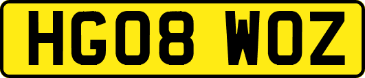 HG08WOZ