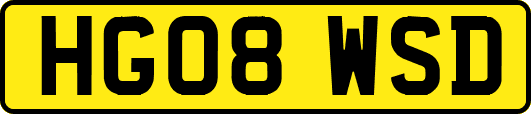 HG08WSD