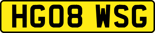 HG08WSG