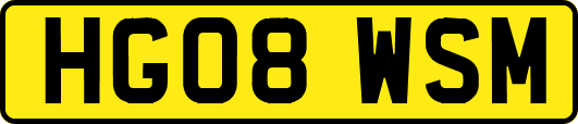 HG08WSM