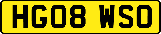 HG08WSO