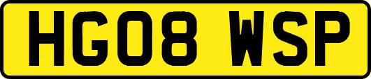 HG08WSP