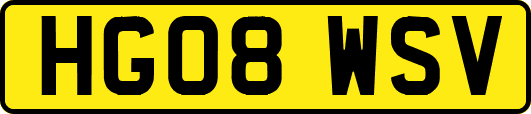 HG08WSV