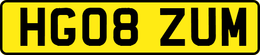 HG08ZUM