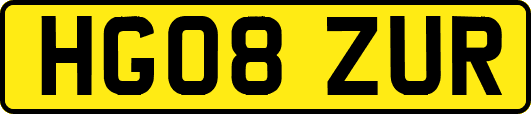 HG08ZUR