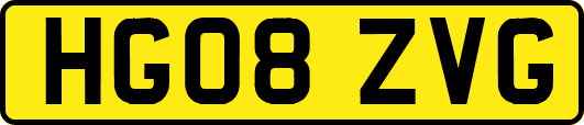 HG08ZVG
