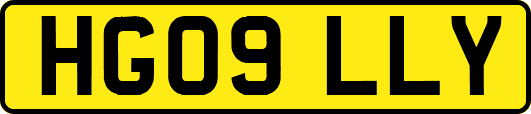 HG09LLY