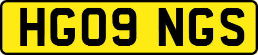 HG09NGS